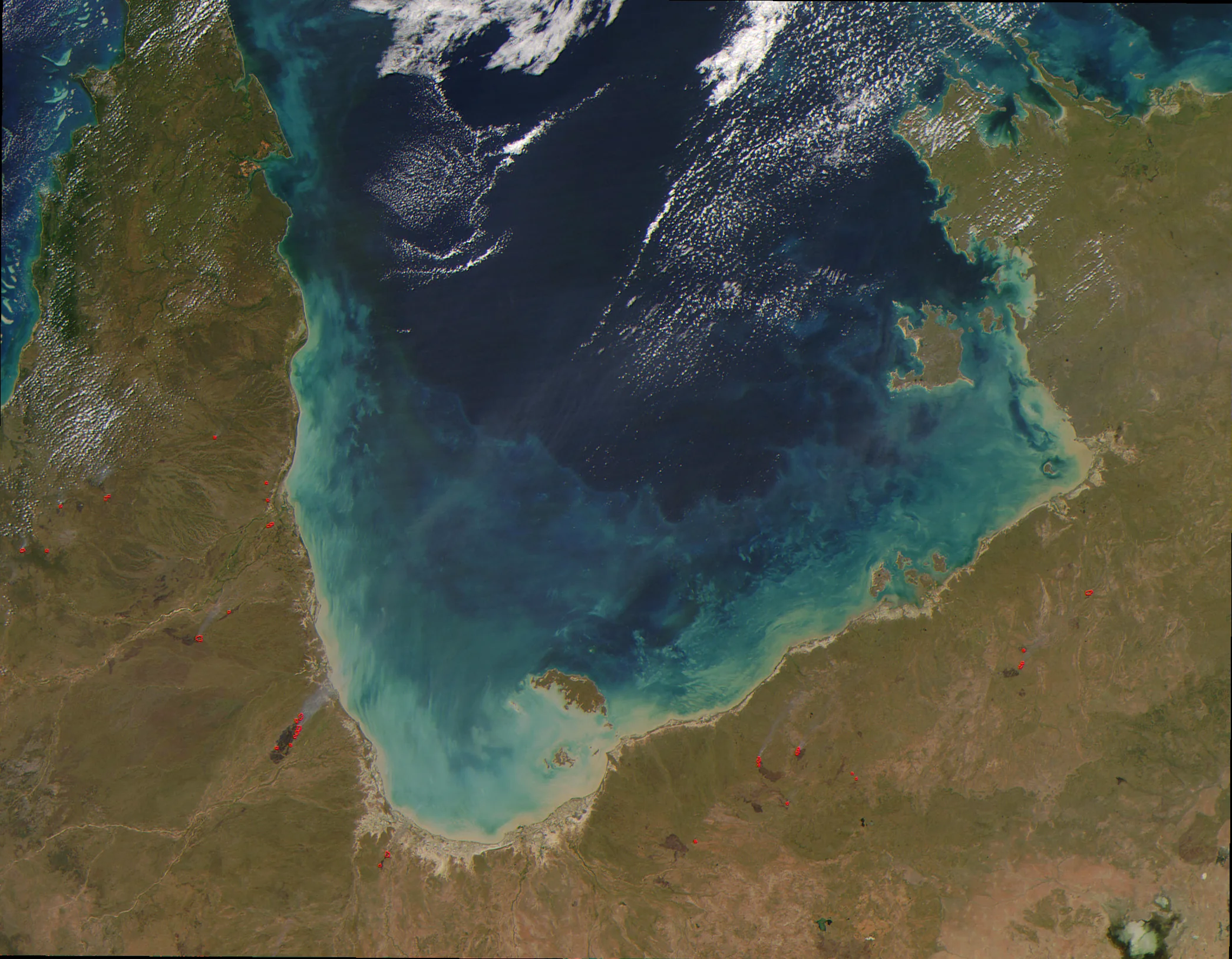 Gulf of carpentaria freshwater dolphin conservation