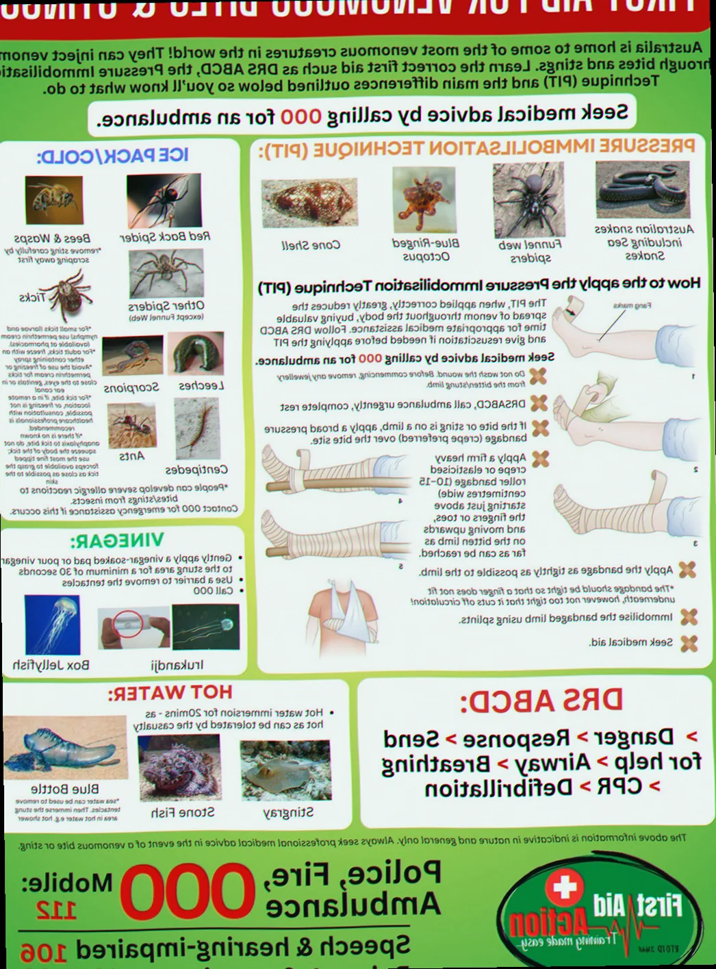 Stonefish first aid procedures australia